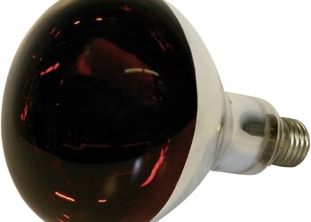 Quand le chiot regule sa température ?