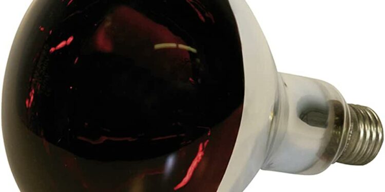 Quand le chiot regule sa température ?