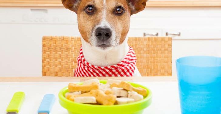 Quand les chiot arrête de téter leur mère ?