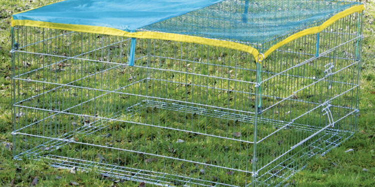 Quand les poussins peuvent dormir dehors ?