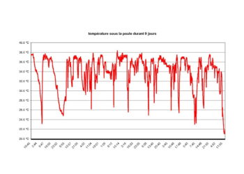 Quand mettre de l'eau dans la couveuse ?