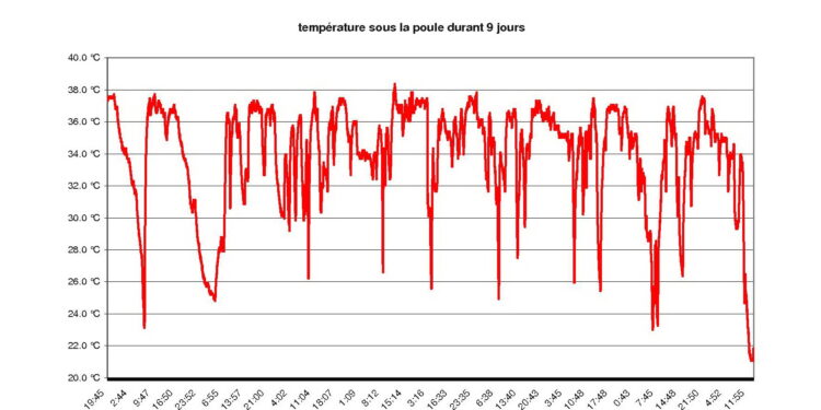 Quand mettre de l'eau dans la couveuse ?