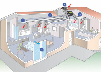 Quand mettre de l'eau dans la couveuse ?