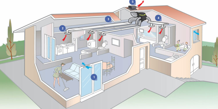 Quand mettre de l'eau dans la couveuse ?