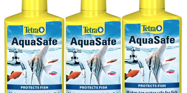 Quand mettre les bactéries dans l'aquarium ?