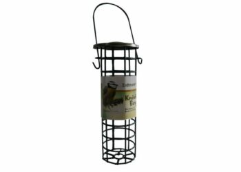 Quand mettre les boules de graisse pour les oiseaux ?