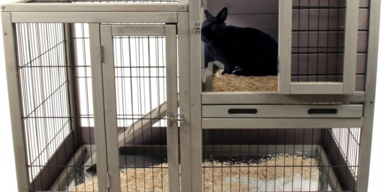 Quand mettre son lapin dehors ?