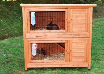 Quand mettre son lapin dehors ?