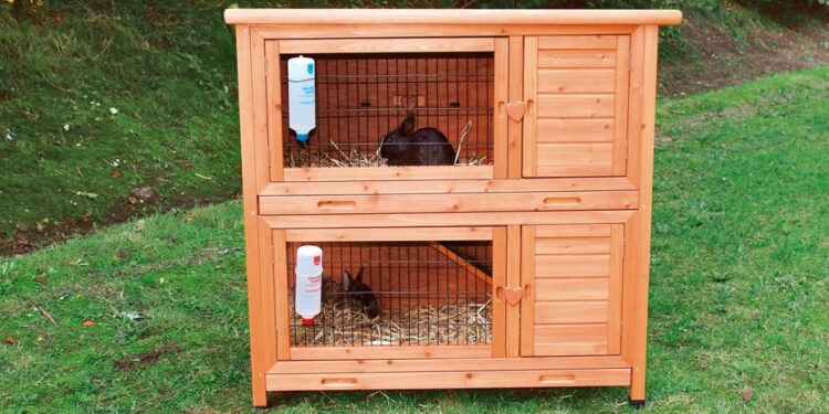 Quand mettre son lapin dehors ?