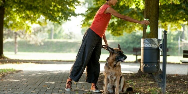 Quand mettre un chien dehors ?