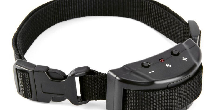 Quand mettre un collier Anti-aboiement ?