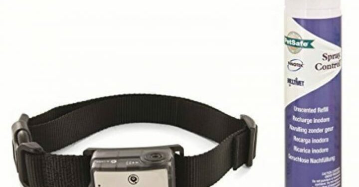 Quand mettre un collier anti aboiement ?