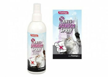 Quand mon chat me griffe ça me gratte ?