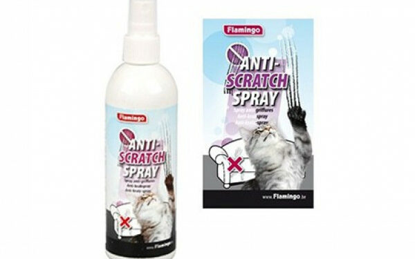 Quand mon chat me griffe ça me gratte ?