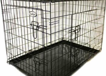Quand retirer la cage de mon chien ?