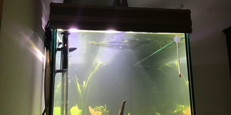 Quand se baigner après avoir mis du pH moins ?