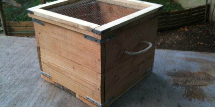 Quand s'enterre une tortue ?