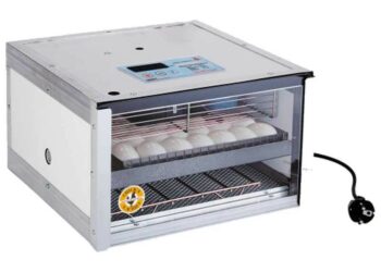 Quand un bébé va en couveuse ?