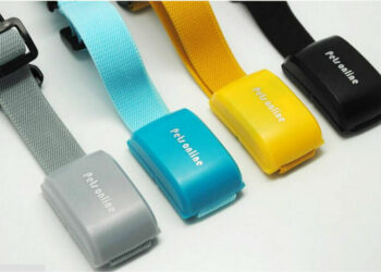 Quand un chat ne revient pas ?