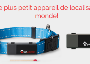 Quand un chat ne revient pas ?