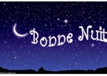 Quand un chiot fait ses nuits ?