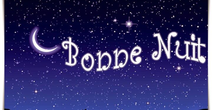 Quand un chiot fait ses nuits ?