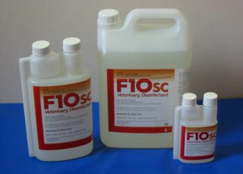 Quel Bétadine pour les animaux ?