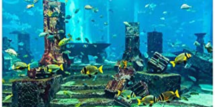 Quel Epaisseur de sable dans un aquarium ?