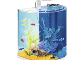 Quel Plante mettre dans un aquarium de 60 litres ?