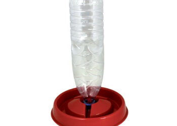 Quel abreuvoir choisir ?