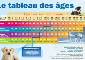 Quel âge a le plus vieux nain ?