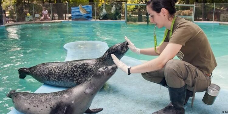 Quel âge a mon poisson ?