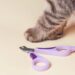 Quel âge couper les griffes d'un chaton ?
