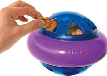 Quel âge friandise chien ?