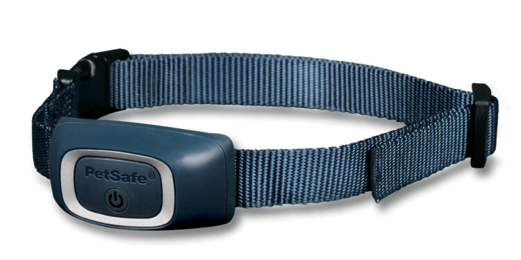 Quel âge on peut mettre un collier Anti-aboiement à un chien ?