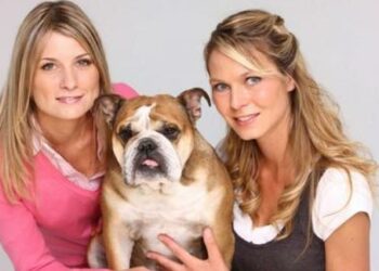 Quel âge ont les filles des animaux de la 8 ?