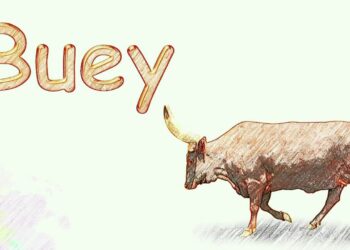 Quel animal commence par s ?