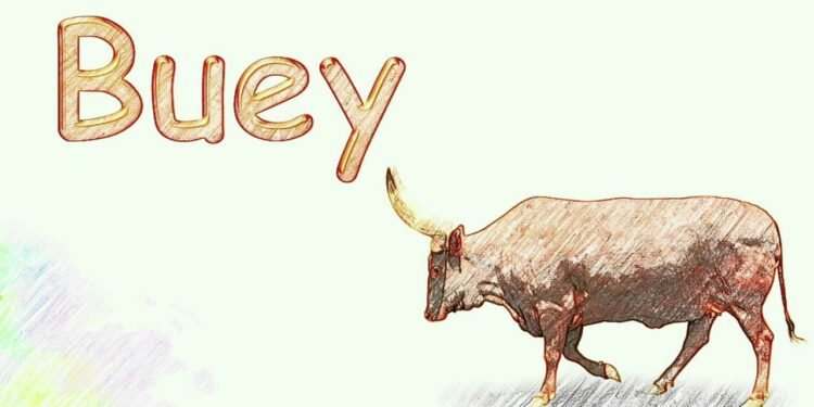 Quel animal commence par s ?