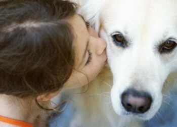 Quel animal représente la joie ?