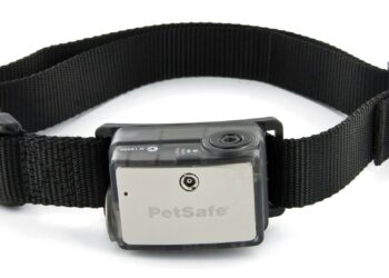 Quel appareil pour empêcher les chiens d'aboyer ?