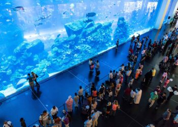 Quel aquarium pour un débutant ?