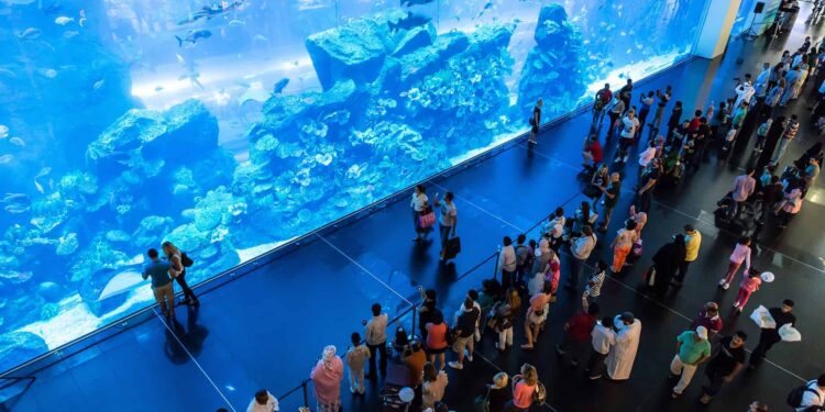 Quel aquarium pour un débutant ?