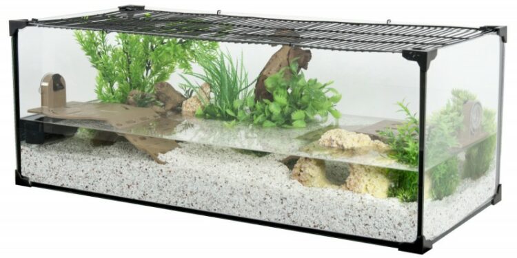 Quel aquarium pour une tortue de Floride ?