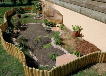 Quel arbuste dans un enclos à tortue ?