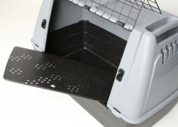 Quel bac à litière pour Maine Coon ?