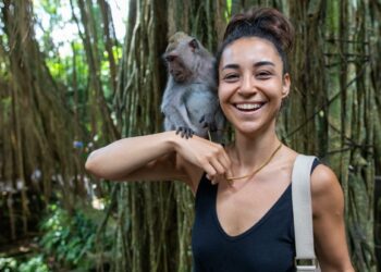 Quel bâtiment est le plus solide Brain Test ?