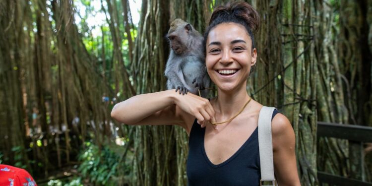 Quel bâtiment est le plus solide Brain Test ?