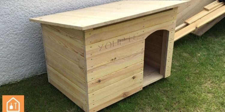 Quel bois pour construire une niche ?