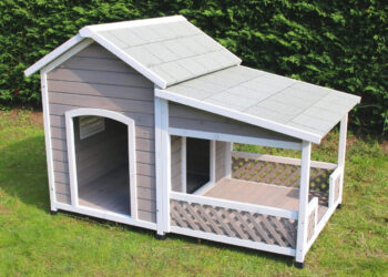 Quel bois pour niche extérieure ?