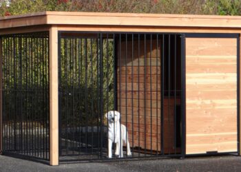 Quel budget pour ouvrir une pension canine ?